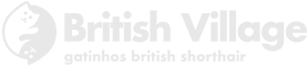Logo da British Village